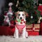 Christmas Candy Cane Plush Toy