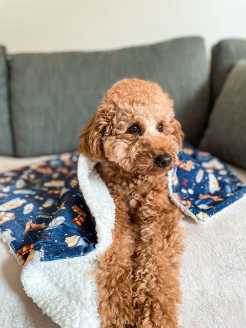 Comfy Pet Blanket- Harry Pupper