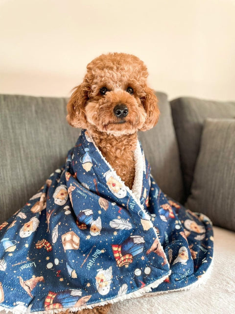 Comfy Pet Blanket- Harry Pupper