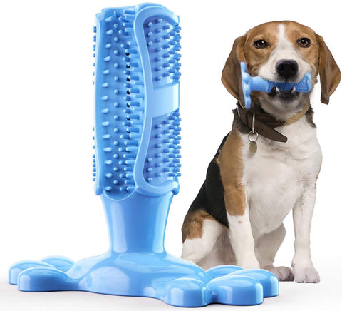 Toothbrush Chew Toy