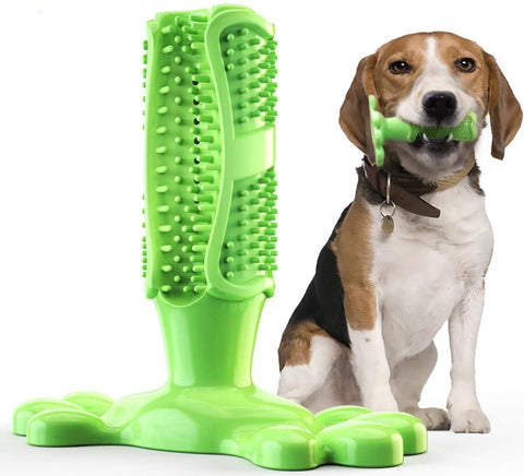 Toothbrush Chew Toy