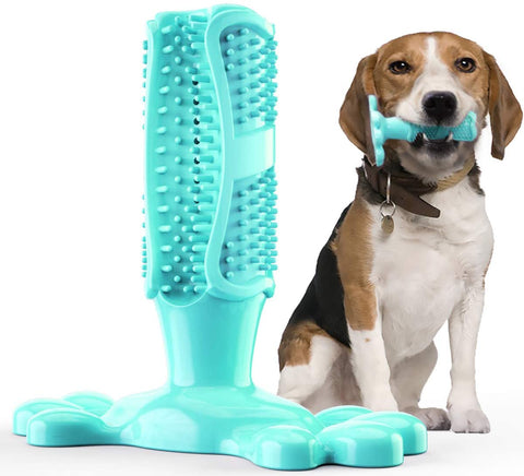 Toothbrush Chew Toy