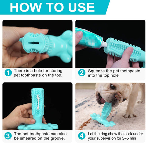 Toothbrush Chew Toy